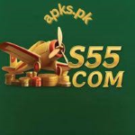 Add cash to S55 Game using Easypaisa payment method